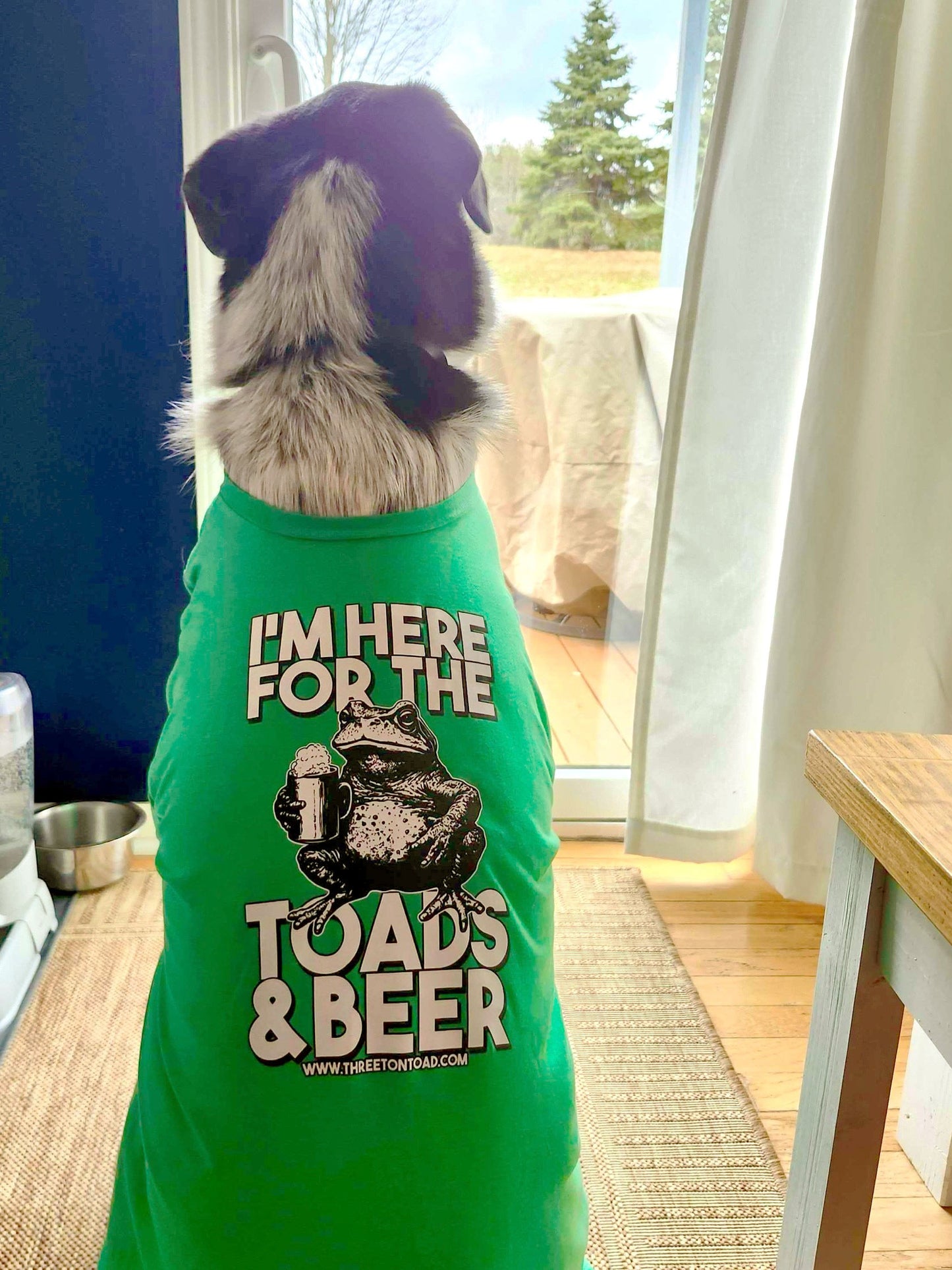 Limited Edition - Three Ton Toad, St. Patrick's Day Event Heavy Cotton T-Shirt